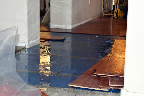 Professional Water Removal technician working in McHenry, IL